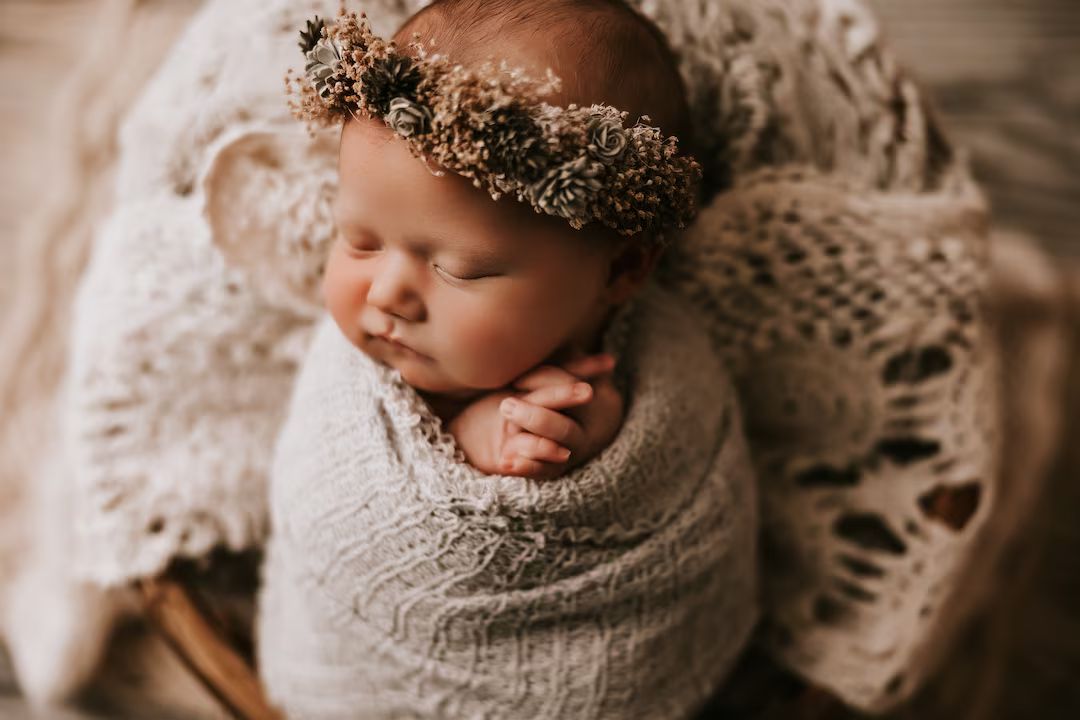 Ambrosia SET Grey Gray Babys Breath Dried Floral Newborn Flower Crown Headband Halo Photography P... | Etsy (US)