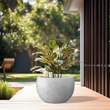 Kante 11.8" Dia Round Concrete Planter, Outdoor/Indoor Large Bowl Plant Pots with Drainage Hole a... | Amazon (US)