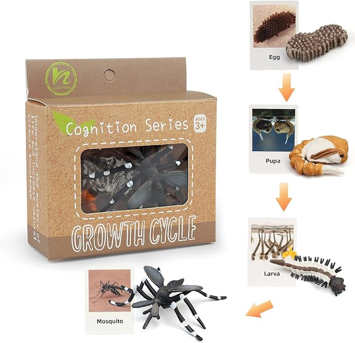 Montessori Life Cycle Animal Figures with Flash Cards, Realistic Animal Figurines Toy, Educationa... | Amazon (US)
