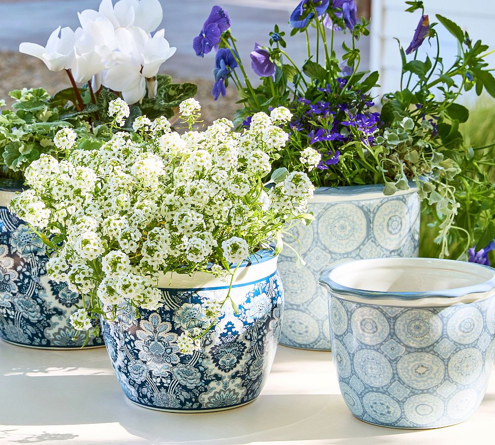 Kravet Medallion Cachepot | Pottery Barn (US)