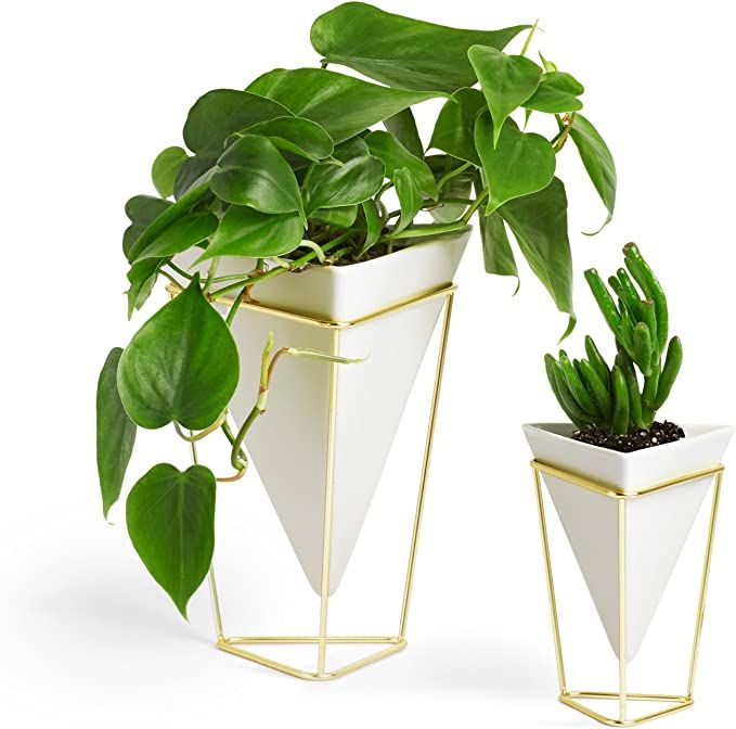 Umbra Trigg Geometric Wall and Desk Decor Ceramic Containers and Vases-for Succulents, Air, Mini ... | Amazon (US)