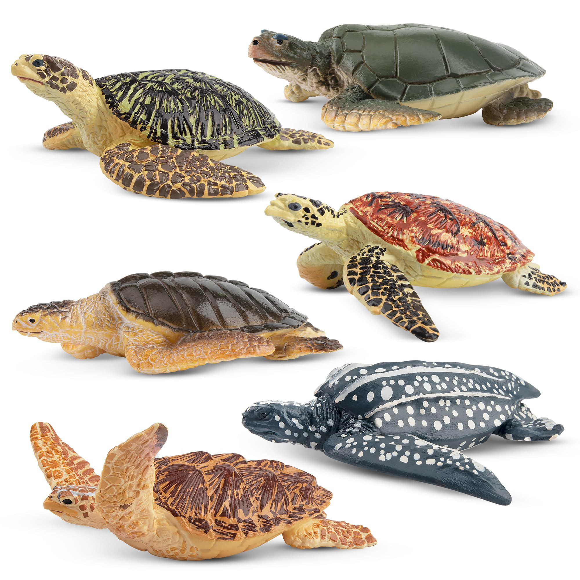 Toymany 6PCS Realistic Sea Turtle Figurines, Plastic Ocean Sea Animals Figures Set Includes of Tu... | Amazon (US)