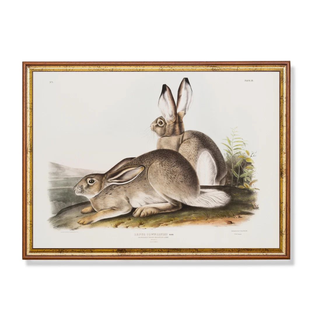 Vintage Rabbit Print  Antique Bunnies Painting  Farmhouse - Etsy | Etsy (US)