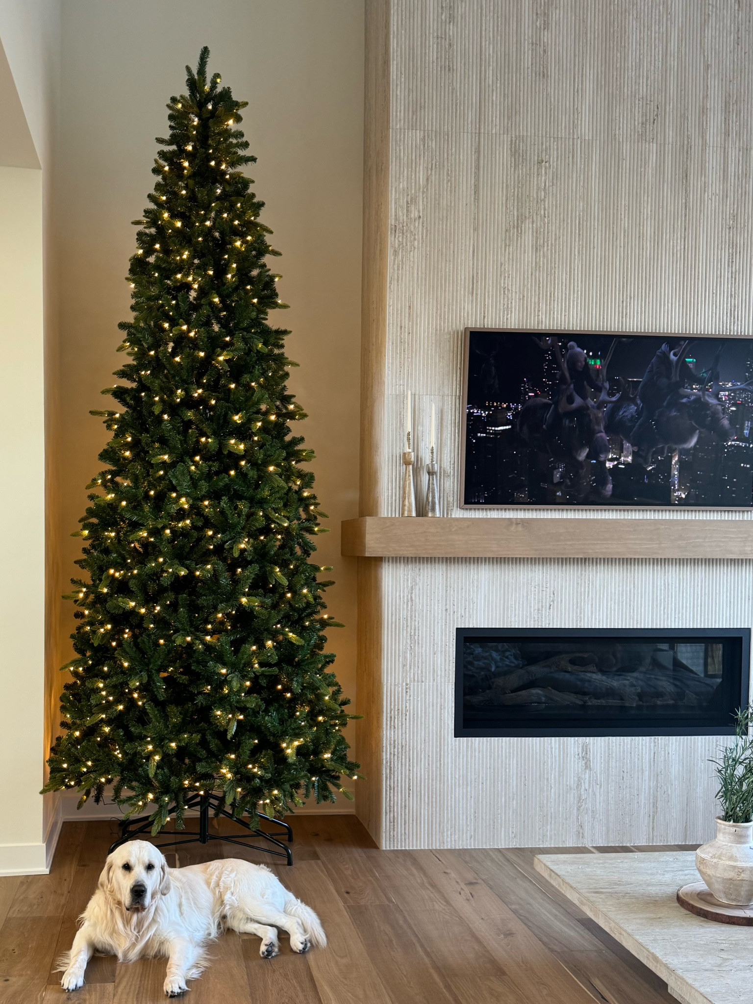 At home 12" Pre-lit Christmas Tree! AT HOME HAS $10 SAME DAY SHIPPING!

#LTKSeasonal #LTKHome #LTKHoliday