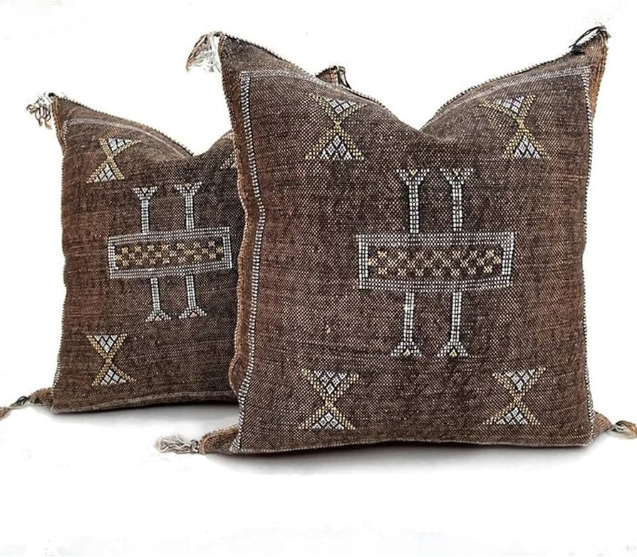 Set of 2 Authentic Moroccan Cactus Silk Pillow Covers (20x20) – Handmade Sabra Cushion Cases fo... | Amazon (US)