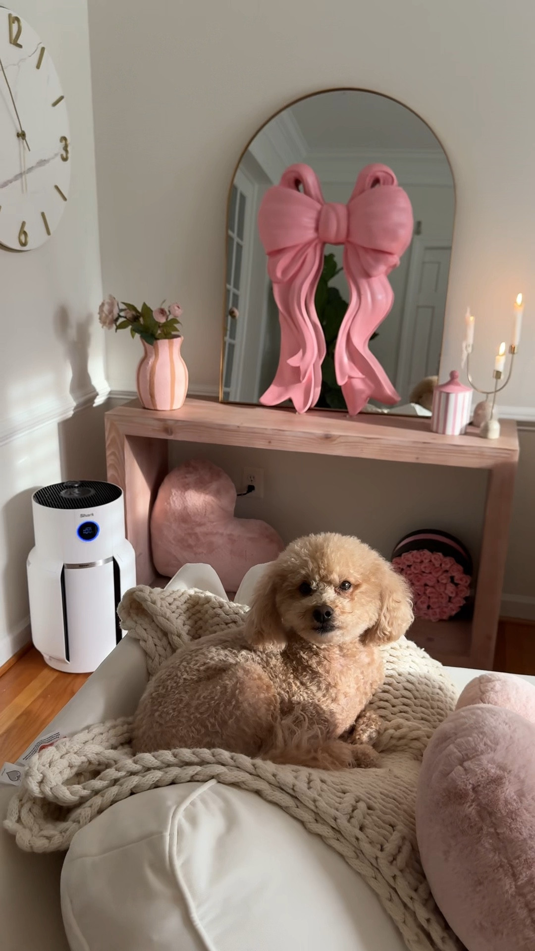 #ad Holiday chaos out, Valentine’s reset in!  After Flu A hit our home so hard lately, I’ve become obsessed with our air quality.
The Shark NeverChange™ from @Target has been my peace of mind! I love watching the air quality improve in real-time on the display while I’m cleaning.  It fits my decor perfectly and saves so much on filter replacements since it’s built to last for years. @SharkHome
Comment Shark to receive a direct link to your DM’s (all the @shop.ltk links and tags here).
Truly a year-round essential for keeping the house healthy and fresh! 
#TargetPartner #SharkPartner #SharkNeverChange #Target 



#LTKdayinmylife #LTKstorytime #LTKValentine