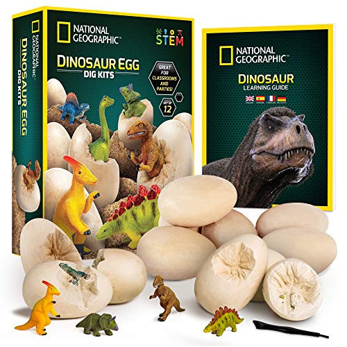 NATIONAL GEOGRAPHIC Dinosaur Dig Kit - 12 Dino Shaped Dig Bricks with Dinosaur Figures Inside & E... | Amazon (US)