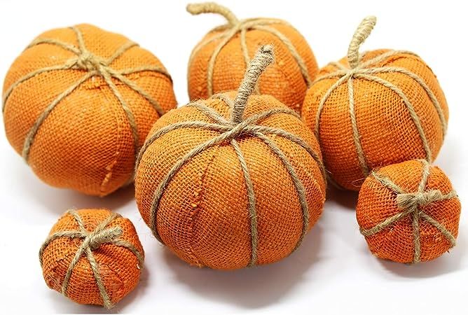 WsCrofts Orange Assorted Size Pumpkin Set of 6 | Amazon (US)