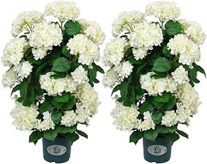 Faux Hydrangea Tree 30" Tall (2 Pack), Artificial Hydrangea Plant in Pot with White Flowers, Real... | Amazon (US)