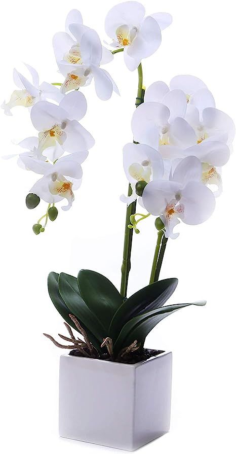 GXLMII Artificial Orchid Bonsai with Vase, Large Vivid Phalaenopsis White Faux Silk Orchids Flowe... | Amazon (US)