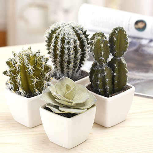 MyGift Mini Artificial Cactus Plants - Faux Assortment Succulent Plants in Square White Pots, 5-I... | Amazon (US)