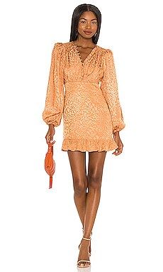 Lovers + Friends Stormy Dress in Tan Leopard from Revolve.com | Revolve Clothing (Global)