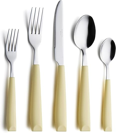 ANNOVA 20PCS Flatware Set Stainless Steel Silverware/Cutlery Set With Colored Handles Comfortable... | Amazon (US)