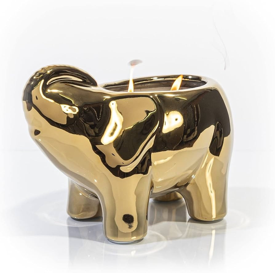 Luxury Elephant Scented Candle \u2013 Large 28oz Jar with Soy Wax Blend & 2 Cotton Wicks \u2013 L... | Amazon (US)