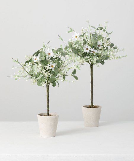White & Yellow Daisy & Eucalyptus Topiary - Set of Two | Zulily