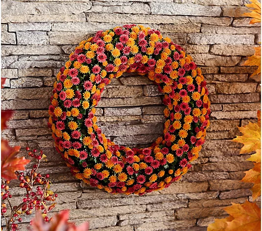 Wicker Park 21" Faux Harvest Mum Wreath | QVC