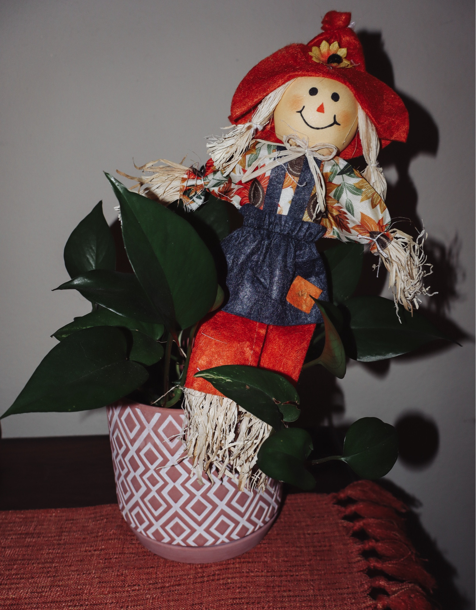 #LTKSeasonal #LTKHome #LTKFallSale