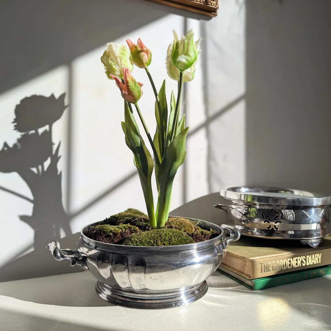 Vintage Silver Plated Jardineire Reimagined Servingware Spring Bulb Plant Pot - Etsy | Etsy (US)