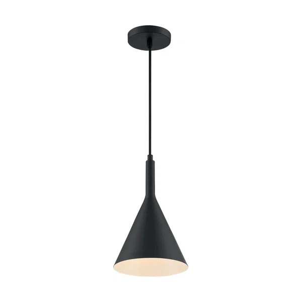 Tappahannock 1 - Light Single Cone Pendant | Wayfair North America