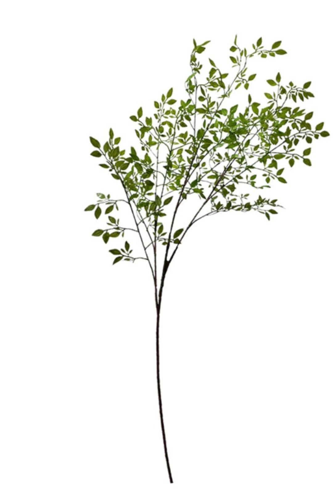 One Artificial Faux Ficus Branch Stem Nice and Full 41" Long Real Look Green Vase Floral Arrangem... | Etsy (US)