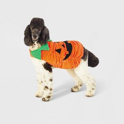 Plush Pumpkin Dog Costume - M - Hyde &#38; EEK! Boutique&#8482; | Target