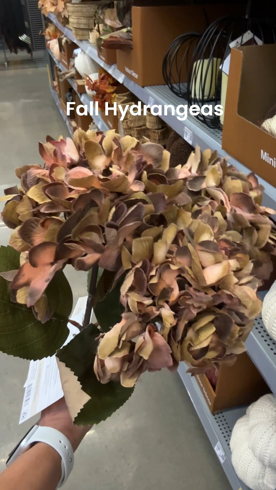 Beautiful hydrangeas in brown color for fall decor. They’re big and very realistic.

Fall Faux greenery.
Fall faux stem.

#LTKSeasonal #LTKHome #LTKxWalmart