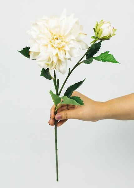 Cafe au Lait Dahlia Flower in Ivory - 19.5" | Afloral (US)