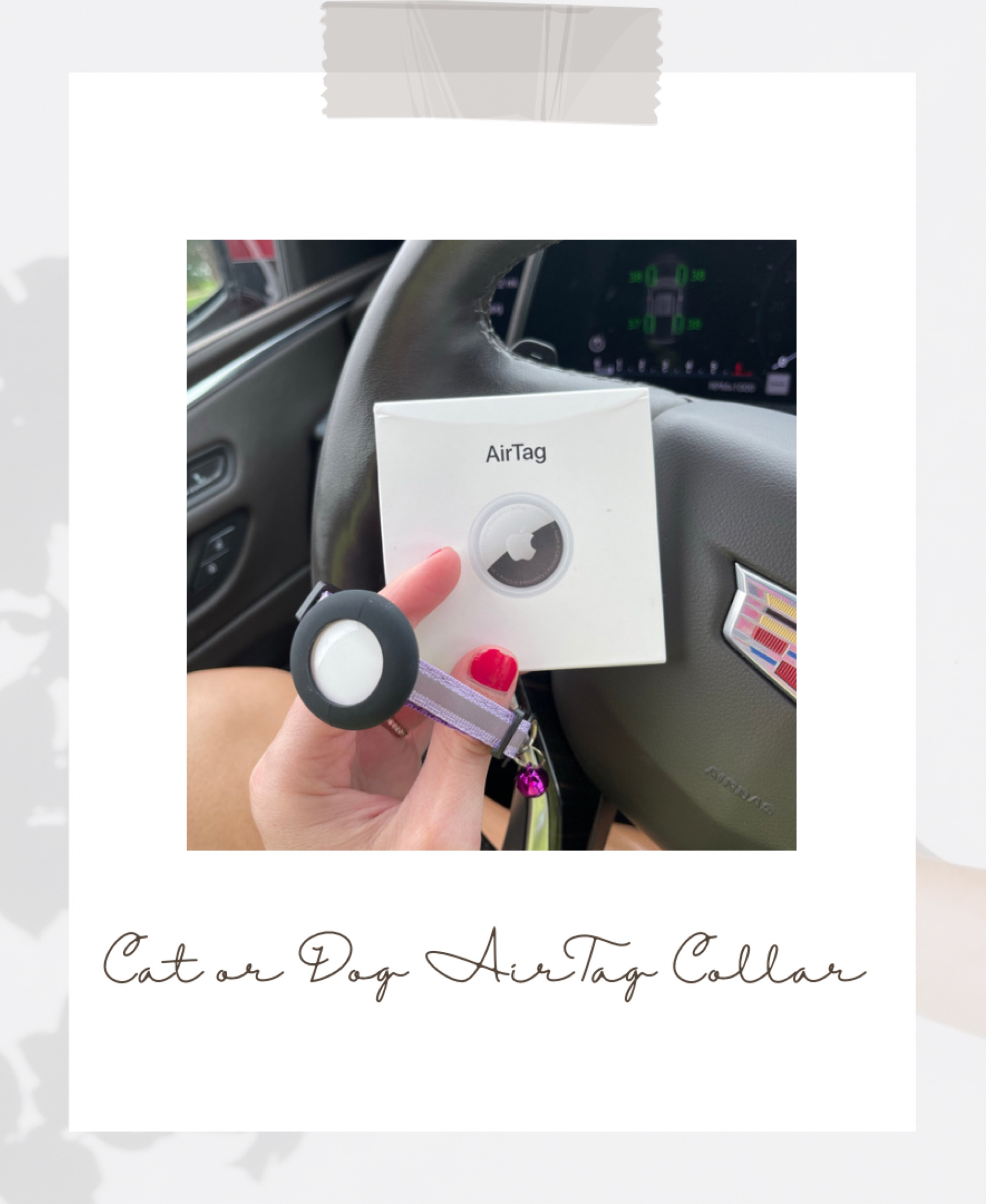 If you have an indoor/outdoor pet, an AirTag collar is a must! Especially for cats that can’t be fenced in. For dogs I’ve added some waterproof AirTag holders for your active pups! 

#LTKanimal #LTKamazon #LTKunder50 