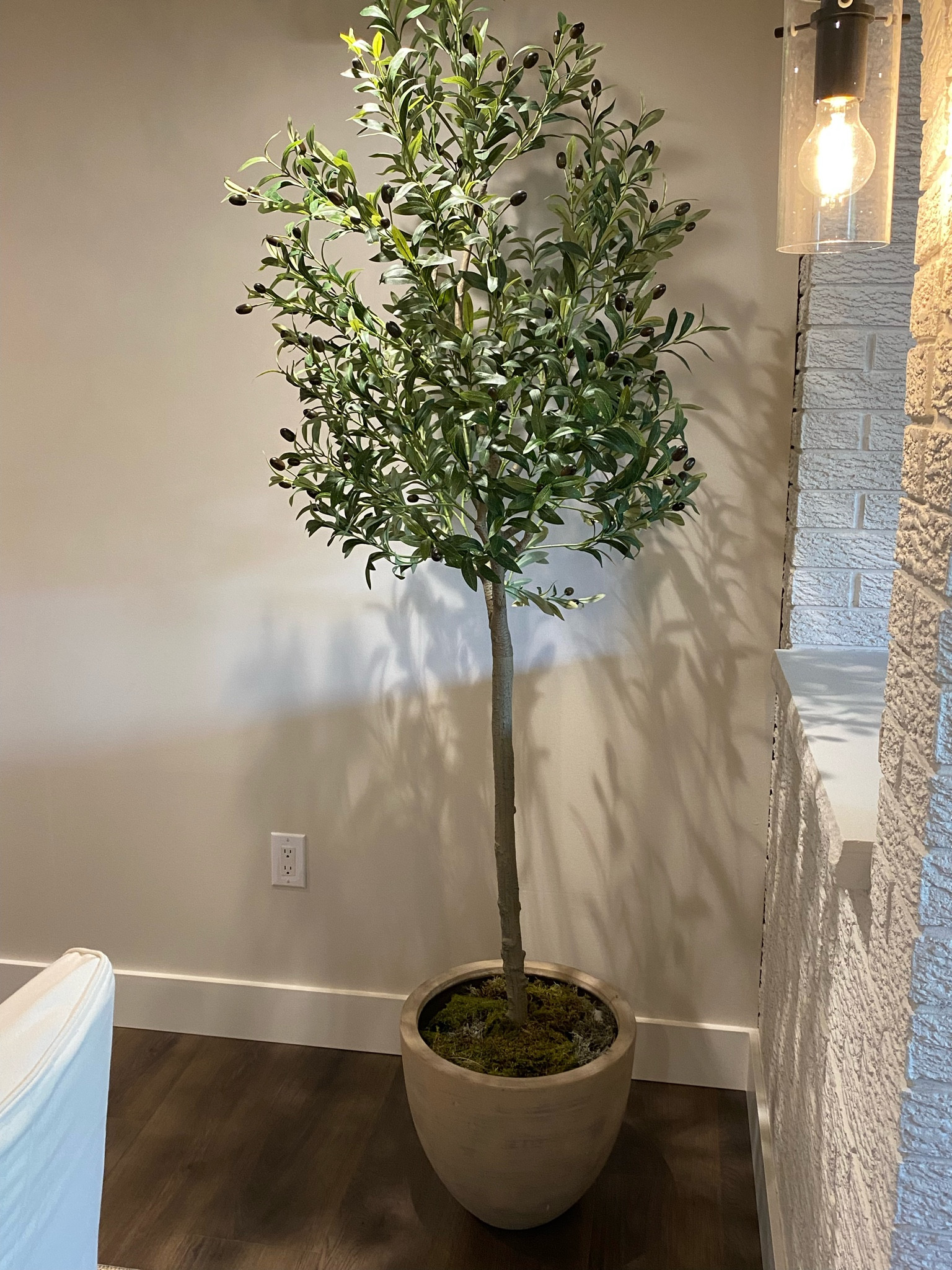 Amazon tree, olive tree, Amazon finds, home decor, home finds, neutral home, Amazon prime day 

#LTKxPrimeDay #LTKstyletip #LTKhome
