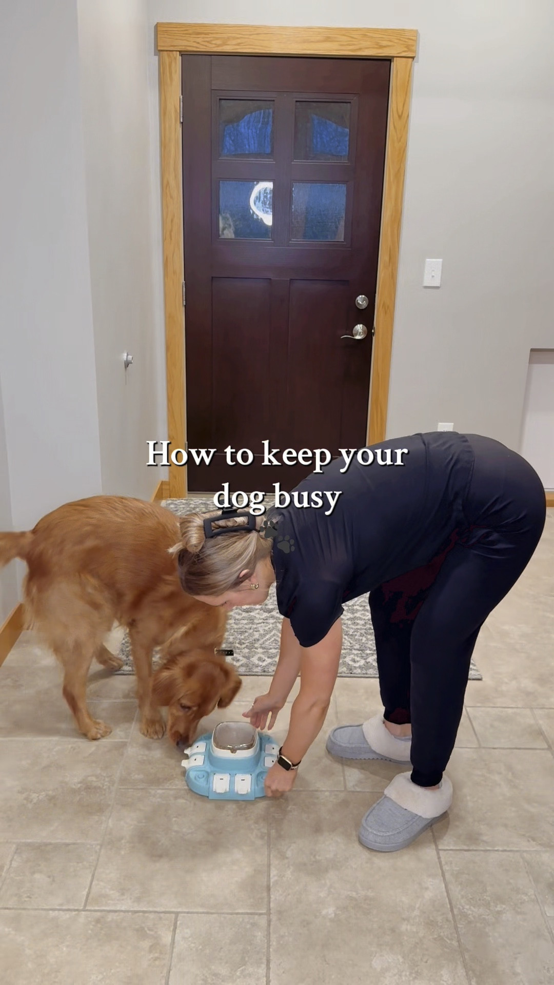 I’m always trying to find ways to keep Jazzy girl busy. 

This dog puzzle works great to keep her cognitively busy. 

PS it took her a couple weeks to figure it out  

#LTKFamily #LTKPets #LTKHome