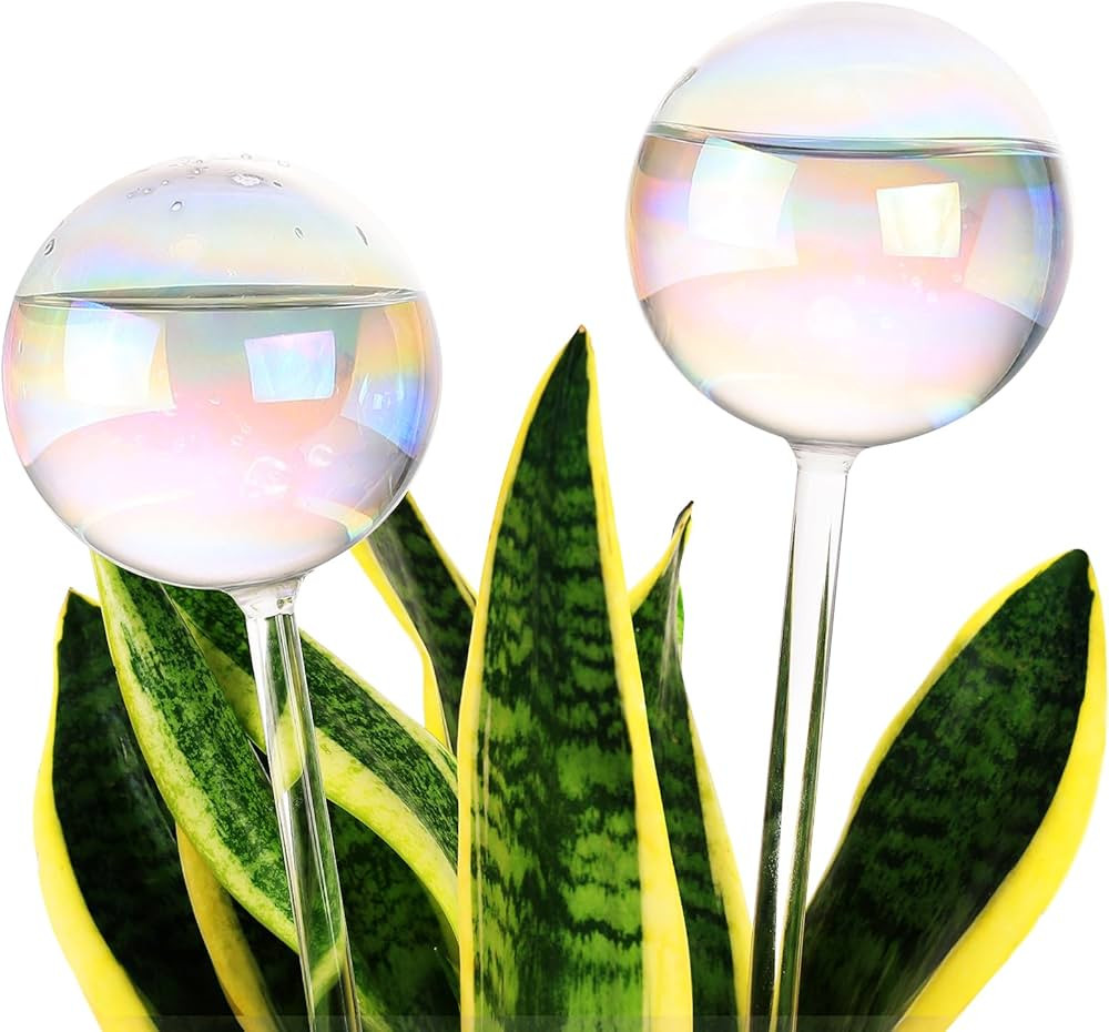 13 oz for 2 Weeks Extra Large Plant Self Watering Globes, Light Iridescent Glass Water Bulbs for ... | Amazon (US)