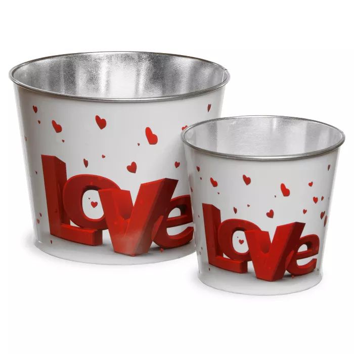 Valentine Motif Tin Pots Red/White 2pk - National Tree Company | Target