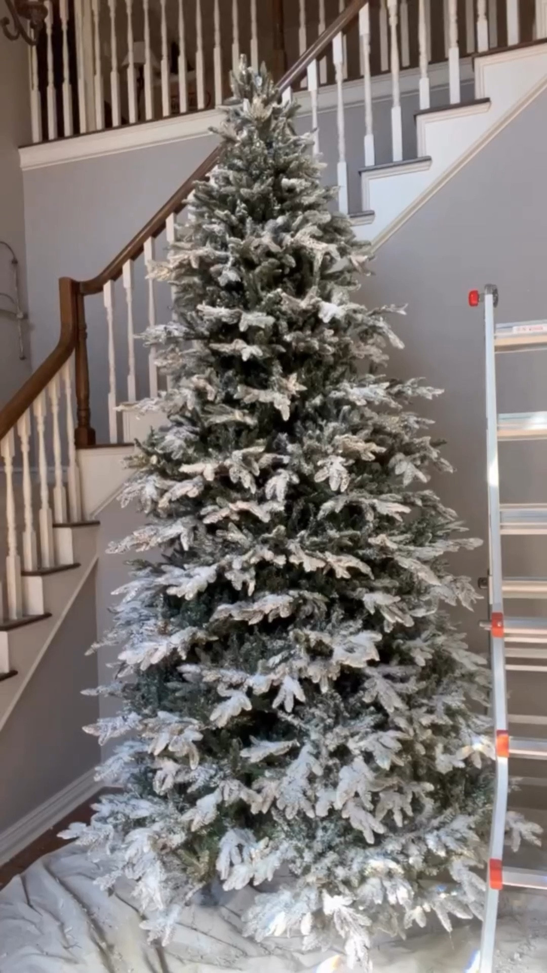 Comment “Flock” for a link to my blog post and video with all my tips and tricks about flocking your own tree including what to use and how to do it indoors.

Is it easy to flock a ten foot Christmas tree?  Well, it’s not that hard really.  Spray, flock, spray.

Can you really flock indoors?  Yes!  Just skip the sifter and protect your floors and you should be good.

How much flock do I need?  It depends on how big your tree is and how much flock you use.  I probably used 5 pounds in this tree this year. Last year I think I used 8 pounds or so.

What will it look like next year?  It won’t be as pretty as when it is freshly done.  Plan to flock every year, but if gets easier each year.

What kind of flock do you recommend?  Just comment “Flock” and I’ll send you all my supplies including flock along with all my tips and tricks.

Happy Flocking!

Tara

#Christmas #christmaslights #lights #christmasdecor #christmasdecorating #holiday #holidaydecor #holidaylights #christmastree #Christmastime #christmasdecorations #christmastreedecorating #christmasmood #christmasspirit #christmasvibes #christmasmagic #sparkle #shinebright #holidays #holidaydecorating #holidayseason #holidayhome #warmwhite #whitelights #flock #flockedtree #howto #snow #snowcoveredtrees #snowy

#LTKHome #LTKSeasonal #LTKHoliday