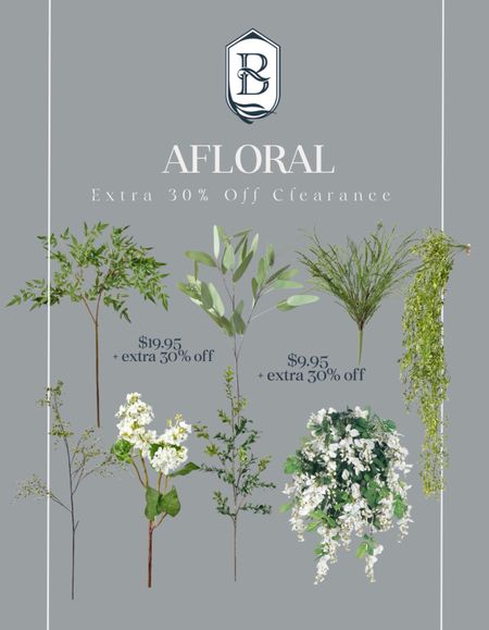 ✨ Afloral sale! Use code HURRY for an extra 30% off! 

Greenery, faux greenery, artificial stems, floral stems, best floral stems, leaf, branch, eucalyptus, plant, hanging floral, UV treated plants, Afloral artificial flowers, silk flowers online, faux greenery, dried botanicals, wedding flowers Afloral, fake plant decor, floral craft supplies, permanent botanicals, Afloral vases and pots, home decor flowers, DIY flower arrangements, Afloral wreaths, artificial flower bouquets, rustic wedding decorations Afloral, floral design accessories

#LTKsalealert #LTKhome