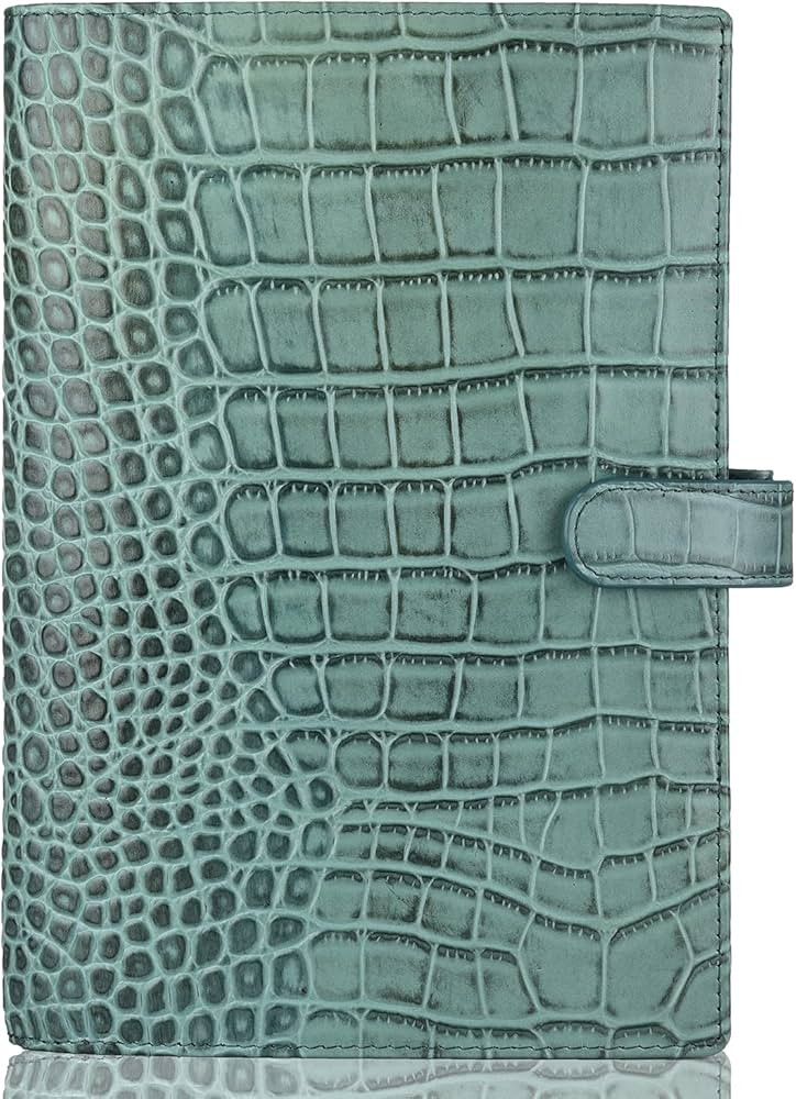 Genuine Leather a5 Planner Cover Personal Organizer, Compatible with Stalogy Hobonichi A5 Size Pl... | Amazon (US)