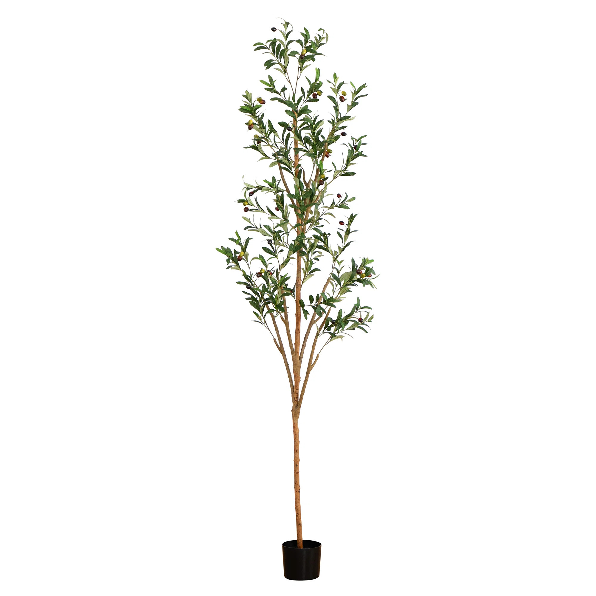 Primrue 7ft. Artificial Olive Tree with Natural Trunk & Reviews | Wayfair | Wayfair North America
