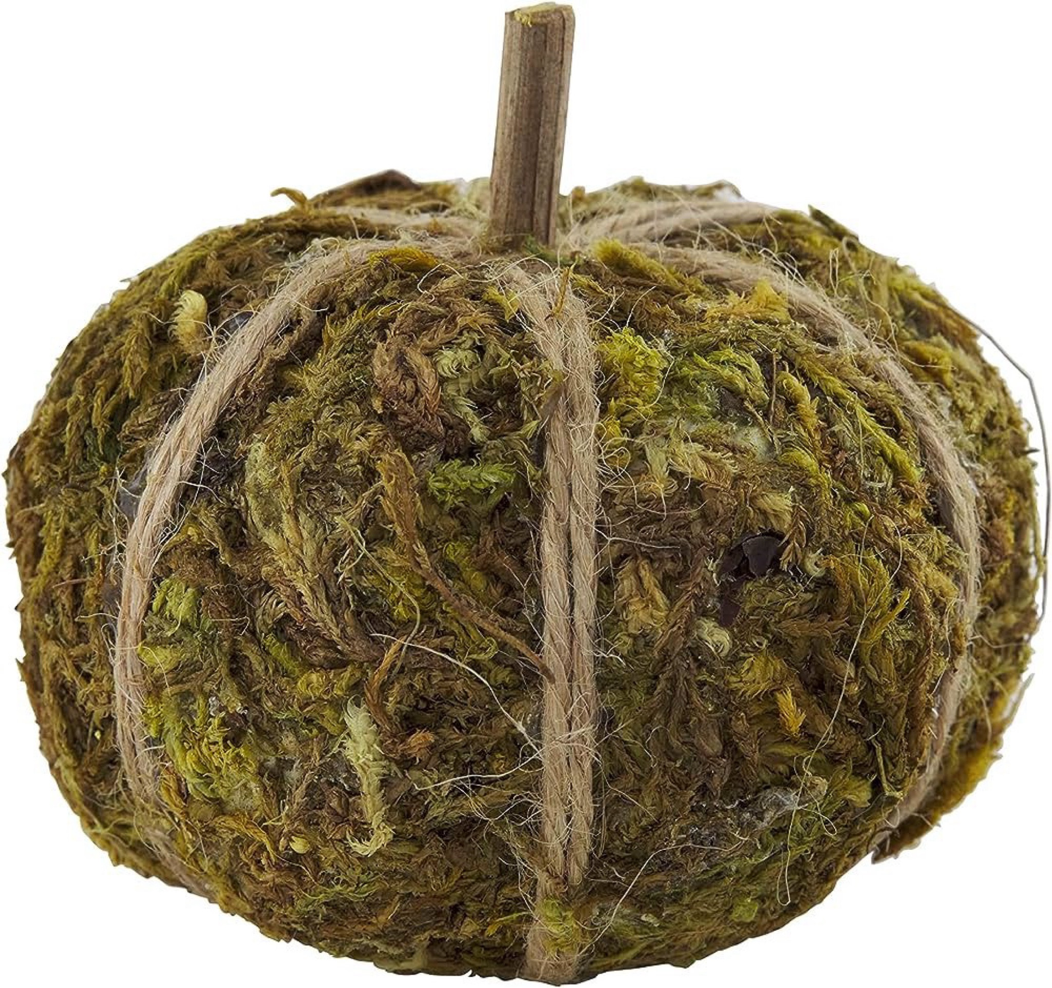 Green Pumpkin decor