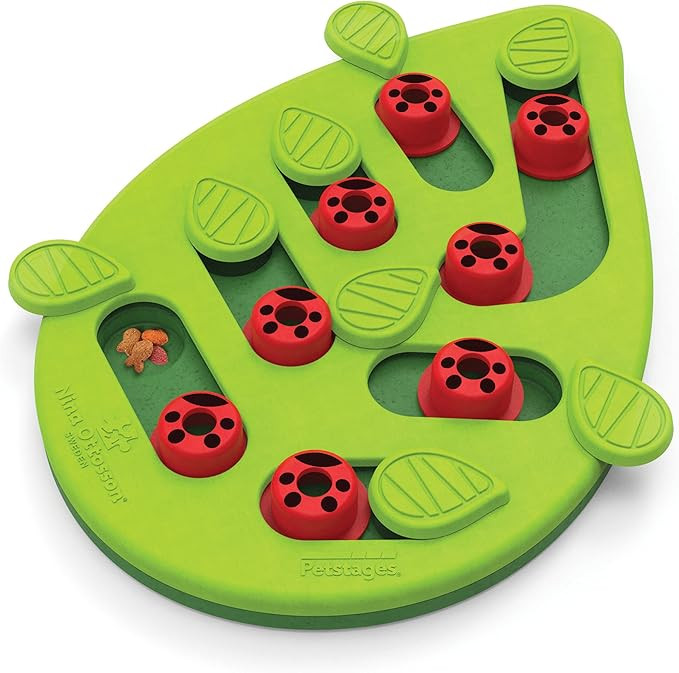 Nina Ottosson by Catstages Buggin' Out Puzzle & Play - Interactive Cat Treat Puzzle | Amazon (US)