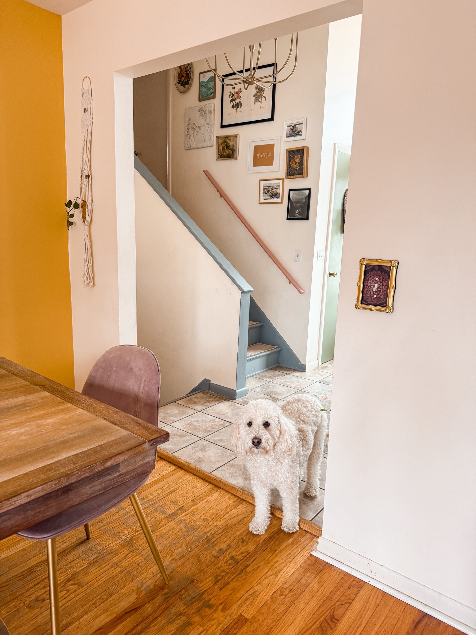 Cute light switch update with wallpaper for a cozy and colorful home



#LTKSeasonal #LTKHome