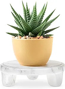 6" Round Marble Riser for Kitchen Counter Decor - Handcarved Marble Decor Pedestal Tray, Small Ri... | Amazon (US)