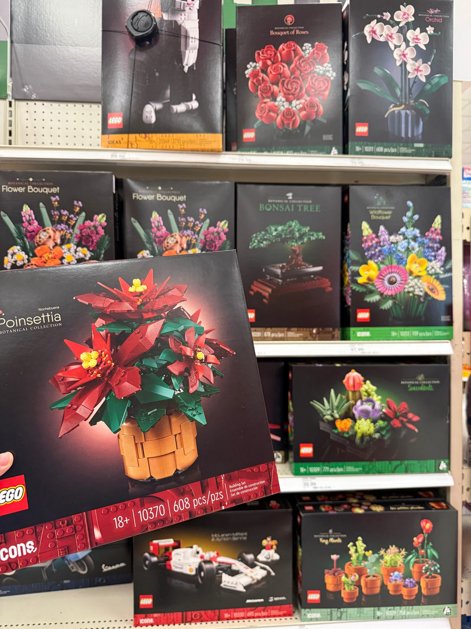 So you want plants that you never have to water… get Lego ones! 

#LTKHome #LTKGiftGuide #LTKFindsUnder100