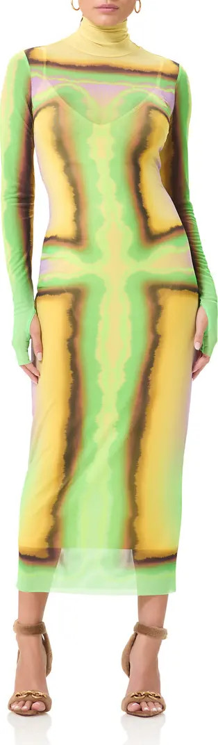 Shailene Long Sleeve Turtleneck Mesh Dress | Nordstrom