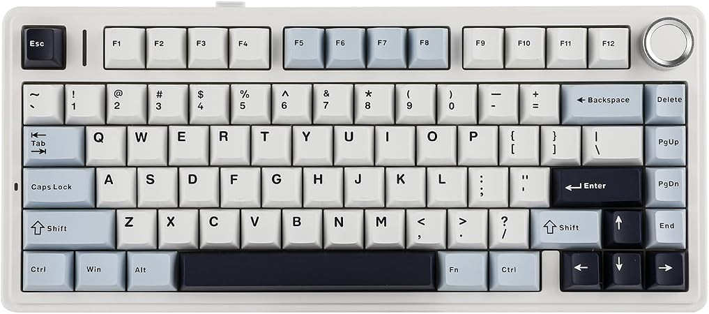 EPOMAKER x Aula F75 Gasket Mechanical Keyboard, 75% Wireless Hot Swappable Gaming Keyboard with F... | Amazon (US)