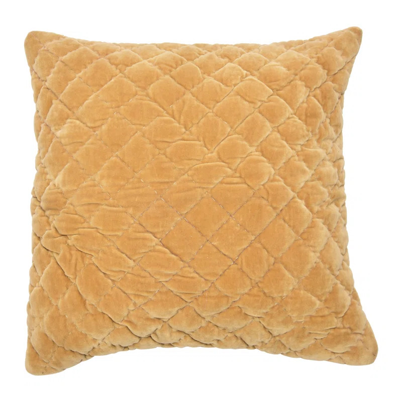 Throw Pillow | Wayfair North America