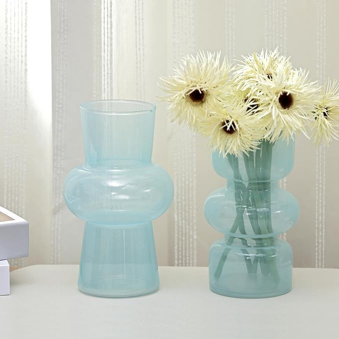 2PCS Glass Vase Blue Transparent, Hydroponic Bubble Glass Vases for Flowers, ViViTOP Modern Style... | Amazon (US)