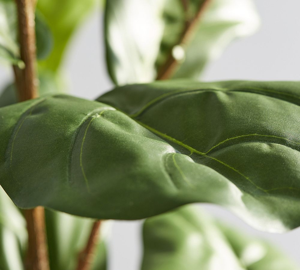 Faux Fiddle Leaf Fig Trees | Pottery Barn (US)