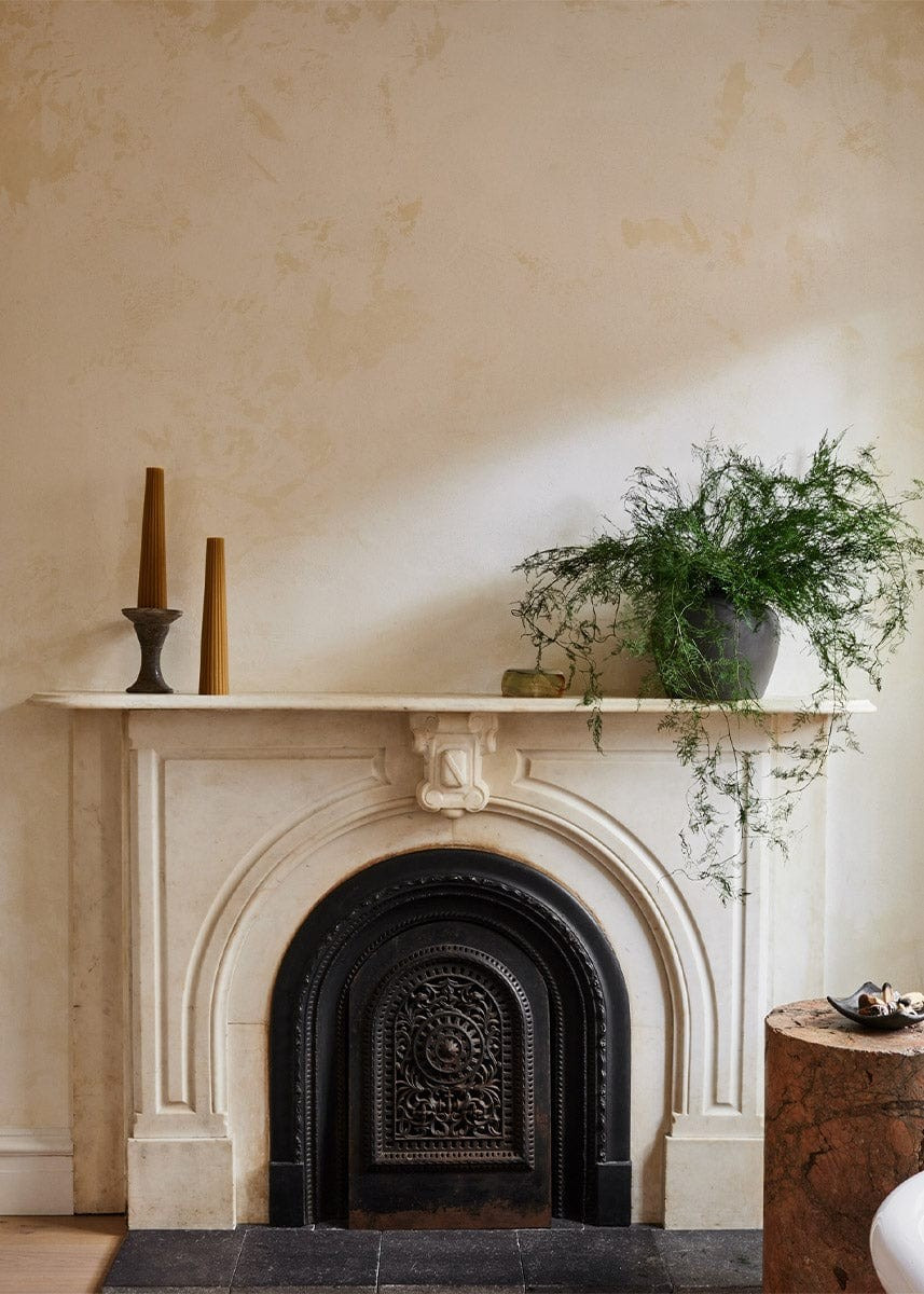 Preserved Asparagus Plumosus Foliage - 12-28 | Afloral