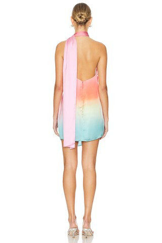 Ari Mini Dress in Majorie | Revolve Clothing (Global)