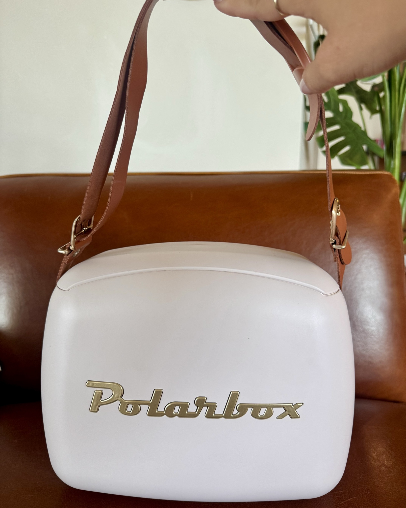 Obsessed with this cooler I found in Portugal. She’s so cute 

#LTKSeasonal #LTKSwim #LTKTravel