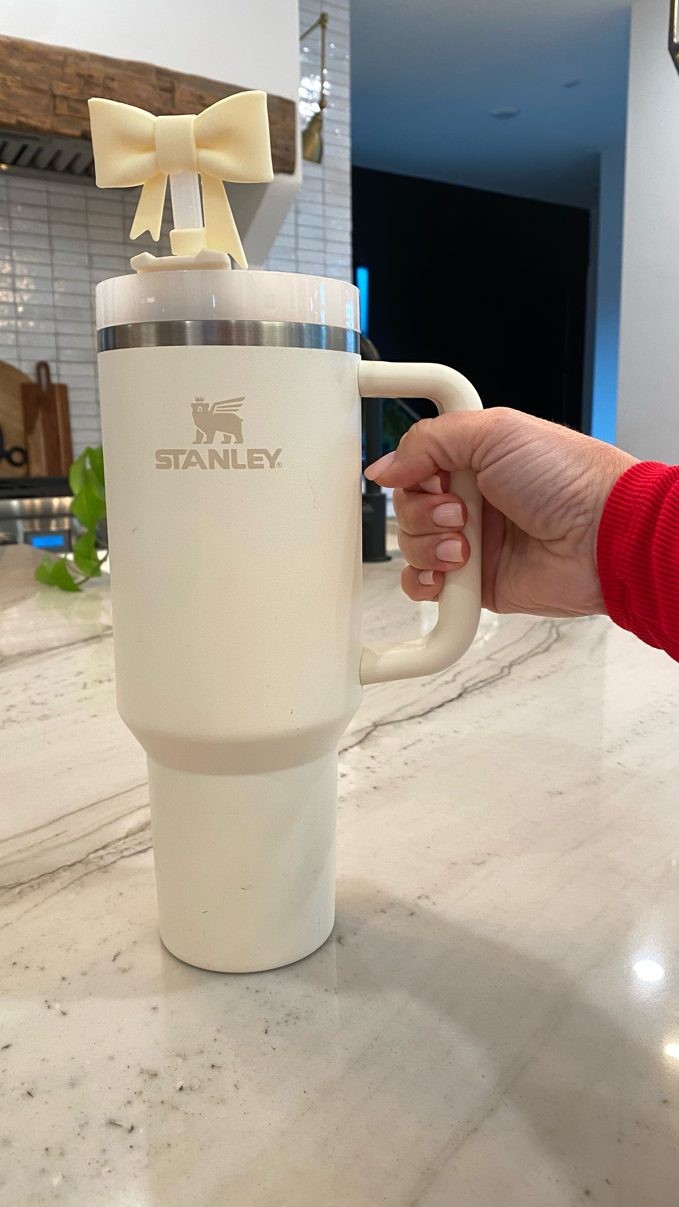 Drinking more water throughout my day is made easier with these few things! 

Stanley / tumbler / water bottle / bow / Stanley accessories / water pitcher / kitchen 

#LTKHome #LTKFindsUnder50 #LTKOver40